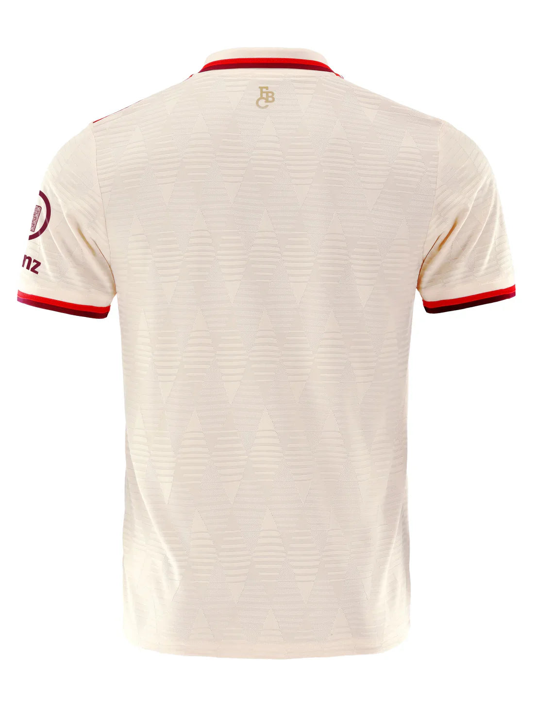 Bayern Munich 24/25 Third Jersey